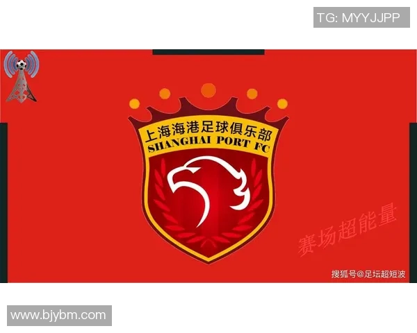 亚冠联赛历程回顾与未来发展展望:亚洲足球顶级赛事的挑战与机遇