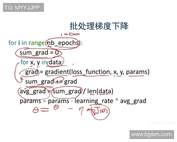 北京羽毛球队运营分析：成功经验与面临挑战的深度探讨