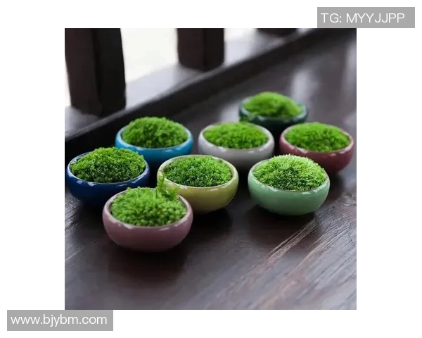 盆栽艺术：如何打造独特的室内绿意空间，提升生活品质与美感