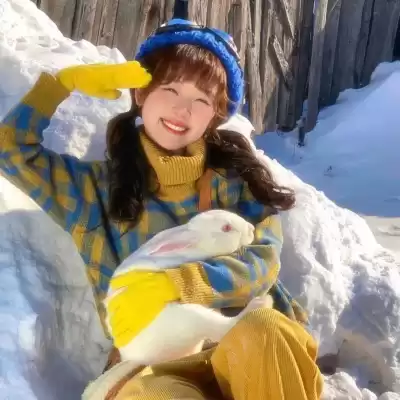 公凡梦